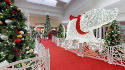 Woodland Mall Santa
