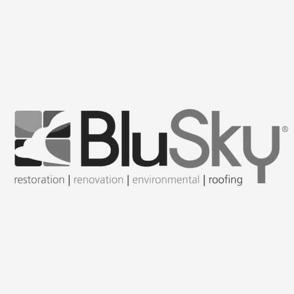 bluesky logo